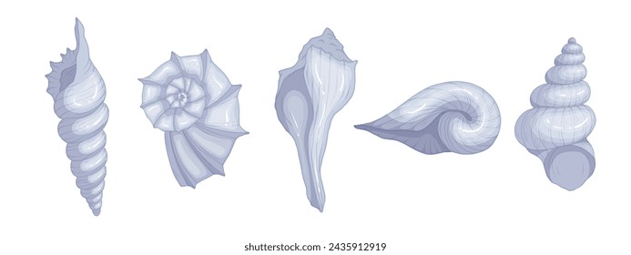 Set of colorful seashells. Vector graphics.