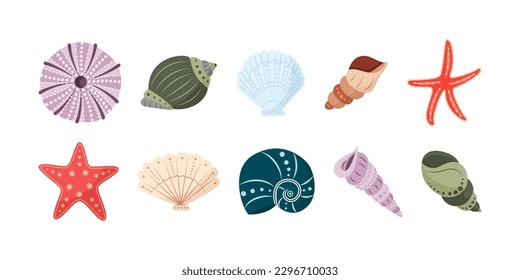 Coloridas conchas. Hermosas conchas de Rapana, Starfish, cáscara redonda de erizo. Vida marina, moluscos oceánicos. Una concha de agua pintada a mano, decorada con motivos de boho. Ilustración del vector