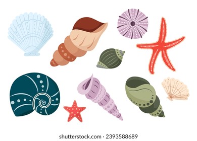 Set of colorful shells. Beautiful Rapana seashells, Starfish, round shell of urchin. Marine life, ocean mollusks. Vector illustration