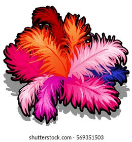 Set of colorful soft bird feathers isolated on white background. Cartoon vector illustration close-up.
