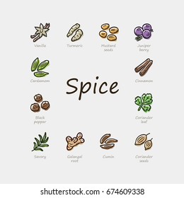 Set of colorful spice icons isolated on light background.