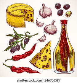 Set with colorful spices, cheeses and vegetables. garlic, olives, chili pepper. hand-drawn illustration