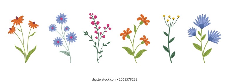 Set of colorful spring flowers in a flat  style. Daisies, sunflowers, poppies, and wildflowers. Perfect for floral designs, nature patterns, and seasonal decorations. Isolated on white background.