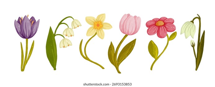 Set of colorful spring flowers. Vector graphics.