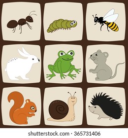 Set of colorful squares with cartoon animals