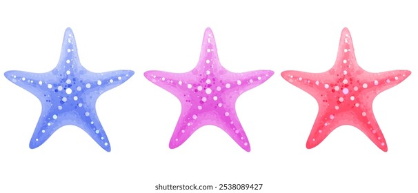 Conjunto de estrellas de mar de colores. Ilustraciones vectoriales de animales marinos en estilo acuarela aisladas. 