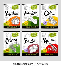 Set of colorful stickers in sketch style, food and spices, white background. Pumpkin, zucchini, corn, celery, potato, beans. Vegetables, farm fresh. locally grown. Hand drawn vector illustration.