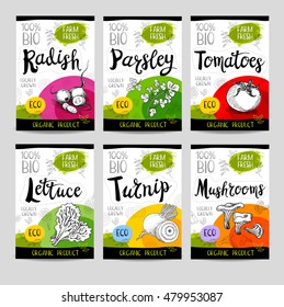 Set of colorful stickers in sketch style, food, spices, white background. Radish, parsley, tomatoes, lettuce, turnip, mushrooms. Vegetables, farm fresh, locally grown. Hand drawn vector illustration.