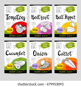 Set of colorful stickers in sketch style, food and spices, white background. Carrot, onions, tomato, bell pepper, beet. Bio vegetables, farm, fresh. locally grown. Hand drawn vector illustration.