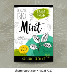 Set of colorful stickers in sketch style, food and spices, white background. Mint. Vegetables, farm fresh. locally grown. Hand drawn vector illustration.