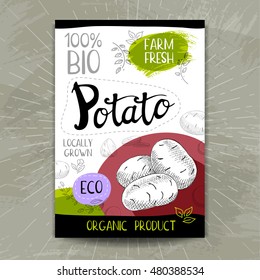 Set of colorful stickers in sketch style, food and spices, white background. Potato. Vegetables, farm fresh. locally grown. Hand drawn vector illustration.