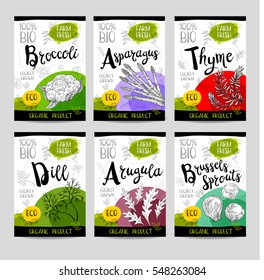 Set of colorful stickers, sketch style, food, spices. Asparagus, brussels sprouts, broccoli, thyme, arugula, dill. Vegetables, farm fresh, locally grown, organic. Hand drawn vector illustration.