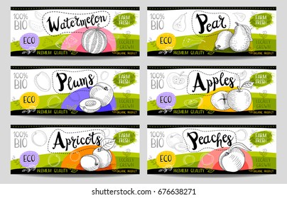 Set of colorful stickers in sketch style, food, spices, white, horizontal. Watermelon, pear, apples, plums, peaches, apricots. Organic, fresh, bio, eco. Hand drawn vector illustration.