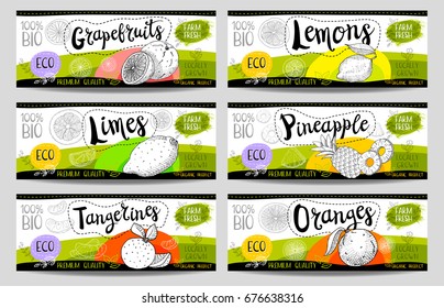 Set of colorful stickers in sketch style, food, spices, white, horizontal. Pineapple, orange, lemons, tangerines, limes, grapefruits. Fruit vegan, naturally, fresh, eco. Hand drawn vector illustration