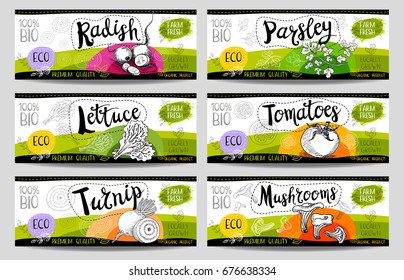 Set of colorful stickers in sketch style, food, spices, white, horizontal. Radish, parsley, tomatoes, lettuce, turnip, mushrooms. Vegetables, farm fresh, locally grown. Hand drawn vector illustration.