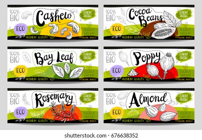 Set of colorful stickers, sketch style, food, spices, white, horizontal. Cashew, poppy, cocoa beans, almond, bay leaf, rosemary. Vegetables, farm fresh, locally grown. Hand drawn vector illustration.