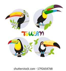 Set of colorful stickers of tropical birds in different design styles - toucan. Stock vector illustration