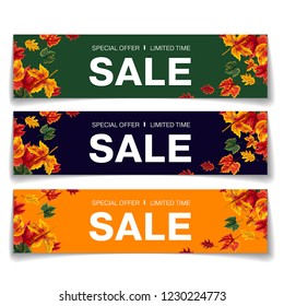 Set of colorful stylish coupons with word Sale and autumnal leaves in design on white background