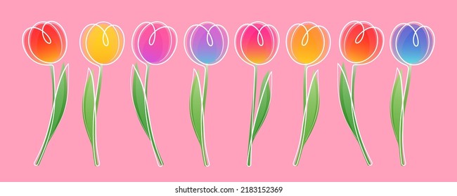 Set Of Colorful Stylized Tulips With White Line Art On Pink Backround. Vector Clipart For Your Spring And Summer Projects.