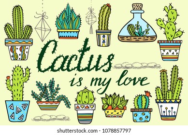 Set of colorful succulents and cactuses