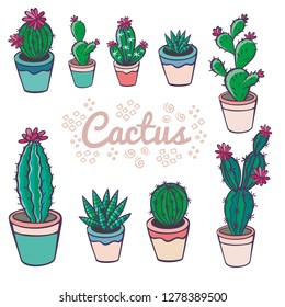 Set of colorful succulents and cactuses