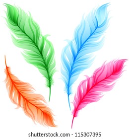 Set of colorful transparent feathers