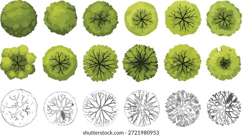 Conjunto de símbolos coloridos da vista superior da árvore para o plano arquitetônico do site, ícones de renderização da vegetação para o projeto da paisagem e mapas do plano mestre do jardim..eps