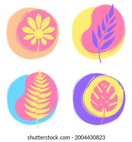 Set of colorful trendy floral illustrations. Monstera, fern and Fatsia japonica plant leaves silhouettes. Vector template for print