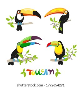 Set of colorful tropical birds in different design styles - toucan. Stock vector illustration