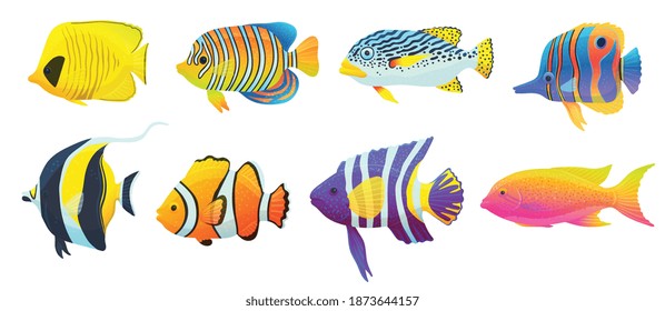 Set of colorful tropical caribbean fish. Exotic bright underwater animals wildlife of ocean. Flat cartoon vector illustrations isolated on a white background.