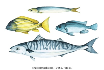 Set of colorful tropical fish. Aquarium animals. Watercolor illustration tropical fish. Underwater sealife concept.