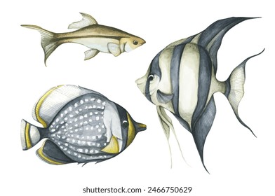 Set of colorful tropical fish. Aquarium animals .Watercolor illustration tropical fish. Underwater sealife concept.