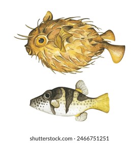 Set of colorful tropical fish. Aquarium animals. Watercolor illustration tropical fish. Underwater sealife concept.