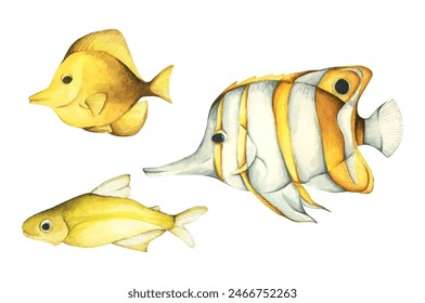 Set of colorful tropical fish. Aquarium animals. Watercolor illustration tropical fish. Underwater sealife concept.