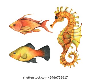 Set of colorful tropical fish. Aquarium animals. Watercolor illustration tropical fish. Underwater sealife concept.