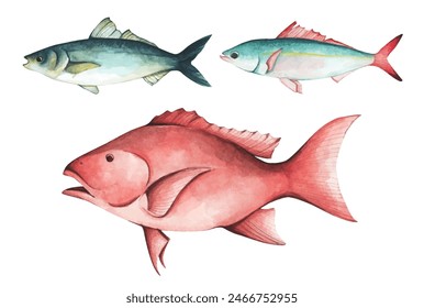 Set of colorful tropical fish. Aquarium animals. Watercolor illustration tropical fish. Underwater sealife concept.