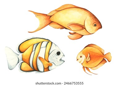 Set of colorful tropical fish. Aquarium animals. Watercolor illustration tropical fish. Underwater sealife concept.