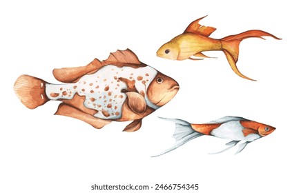 Set of colorful tropical fish. Aquarium animals.Watercolor illustration tropical fish. Underwater sealife concept.