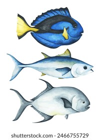 Set of colorful tropical fish. Aquarium animals. Watercolor illustration tropical fish. Underwater sealife concept.