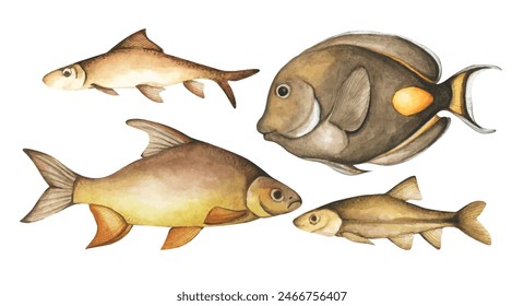 Set of colorful tropical fish. Aquarium animals. Watercolor illustration tropical fish. Underwater sealife concept.