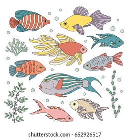 A set of colorful tropical fish. Flat style. Vector illustration.