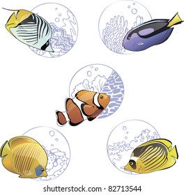 Set of colorful tropical fishes with sketch backgrounds