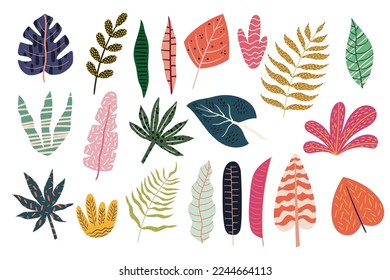 Conjunto de coloridas hojas tropicales, elementos decorativos de selva tropical, follaje exótico veraniego aislado en fondo blanco. Ramas de la Planta de Caricaturas, Flora Orgánica, Hojas de la Selva Botánica. Ilustración vectorial