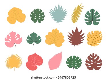 conjunto de hojas tropicales coloridas, Ilustración vectorial, aislado en blanco