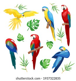 Un conjunto de loros tropicales coloridos. Ilustración vectorial de un loro sobre un fondo blanco.