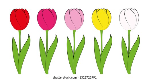 set of colorful tulips isolated on white background vector illustration EPS10