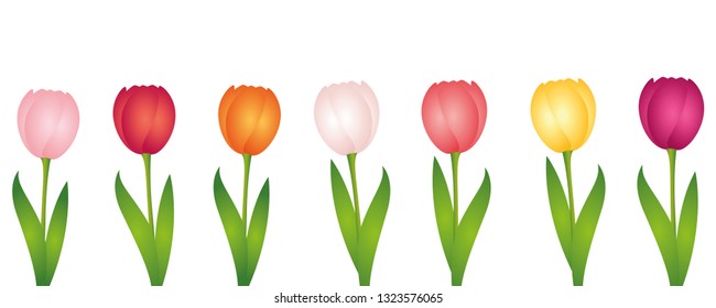 set of colorful tulips isolated on white background vector illustration EPS10