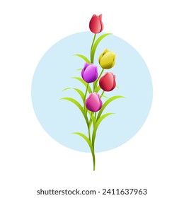 Set of colorful tulips. Spring flowers. - Vector.