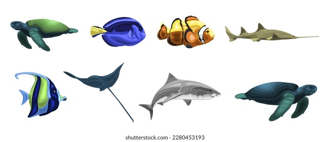 Set of colorful underwater animals: goldfish, shark, ramp fish and turtle. Aquarium characters cartoon style. Sea and ocean reef creatures collection isolated on white background. Vector illustration