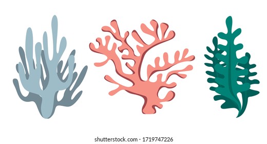 Set of colorful underwater design elements. Vector illustration